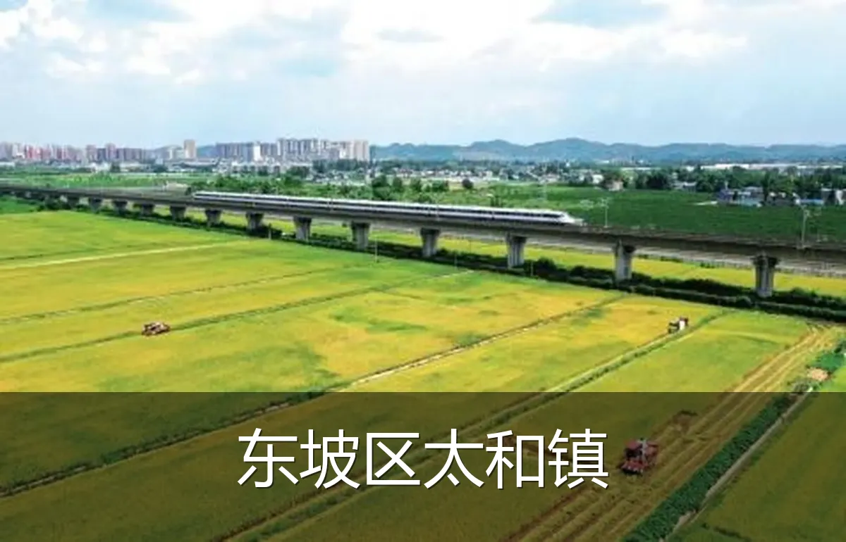 东坡区太和镇