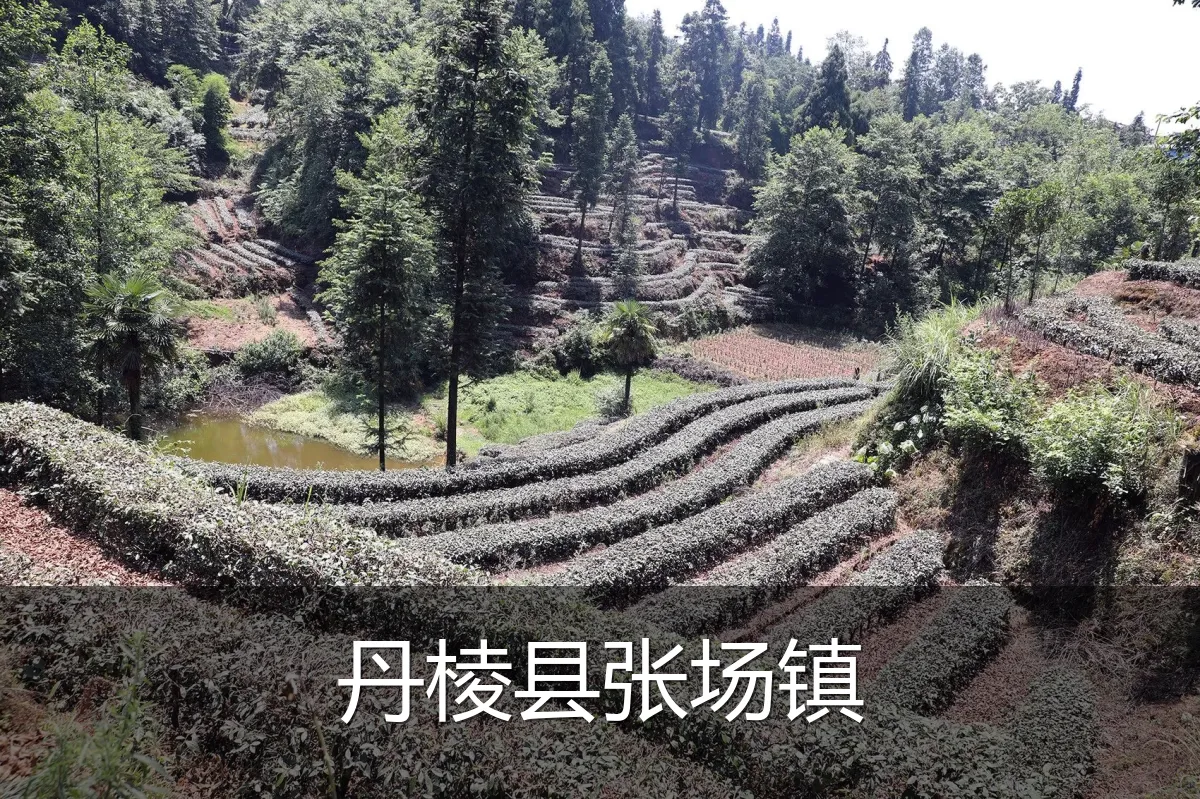 丹棱县张场镇