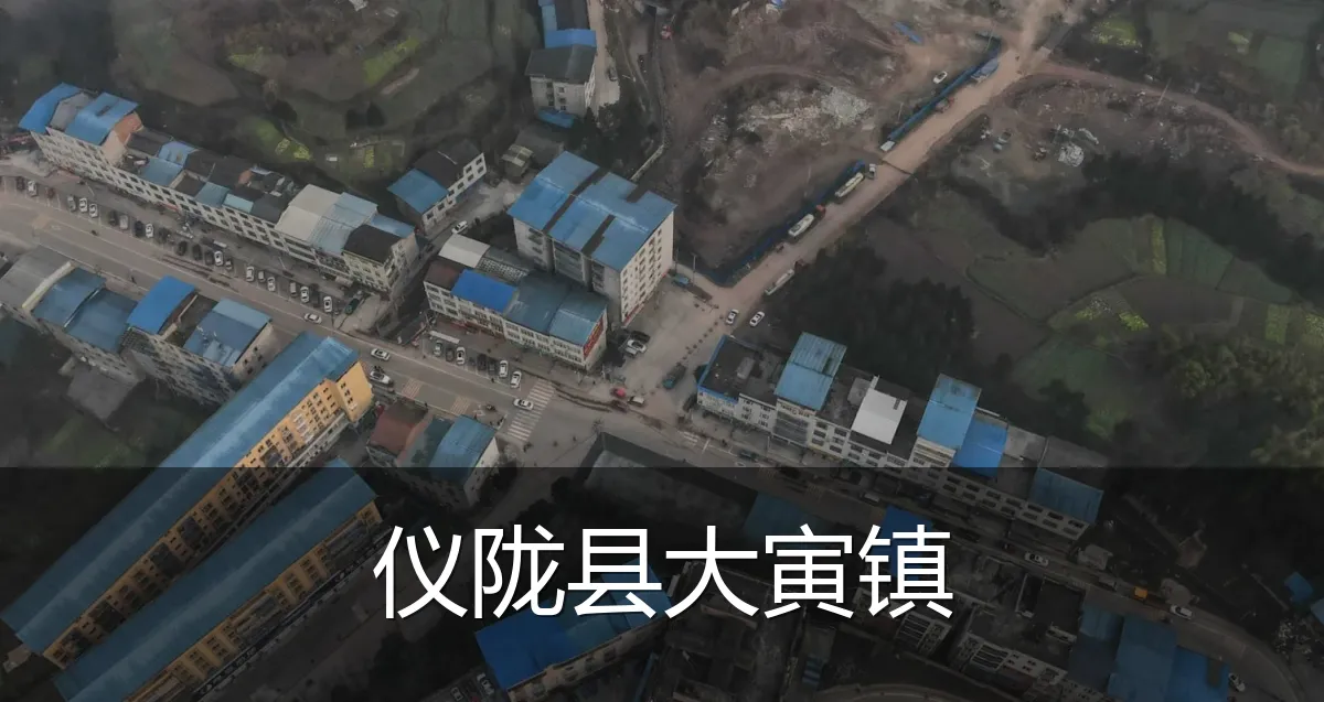 仪陇县大寅镇