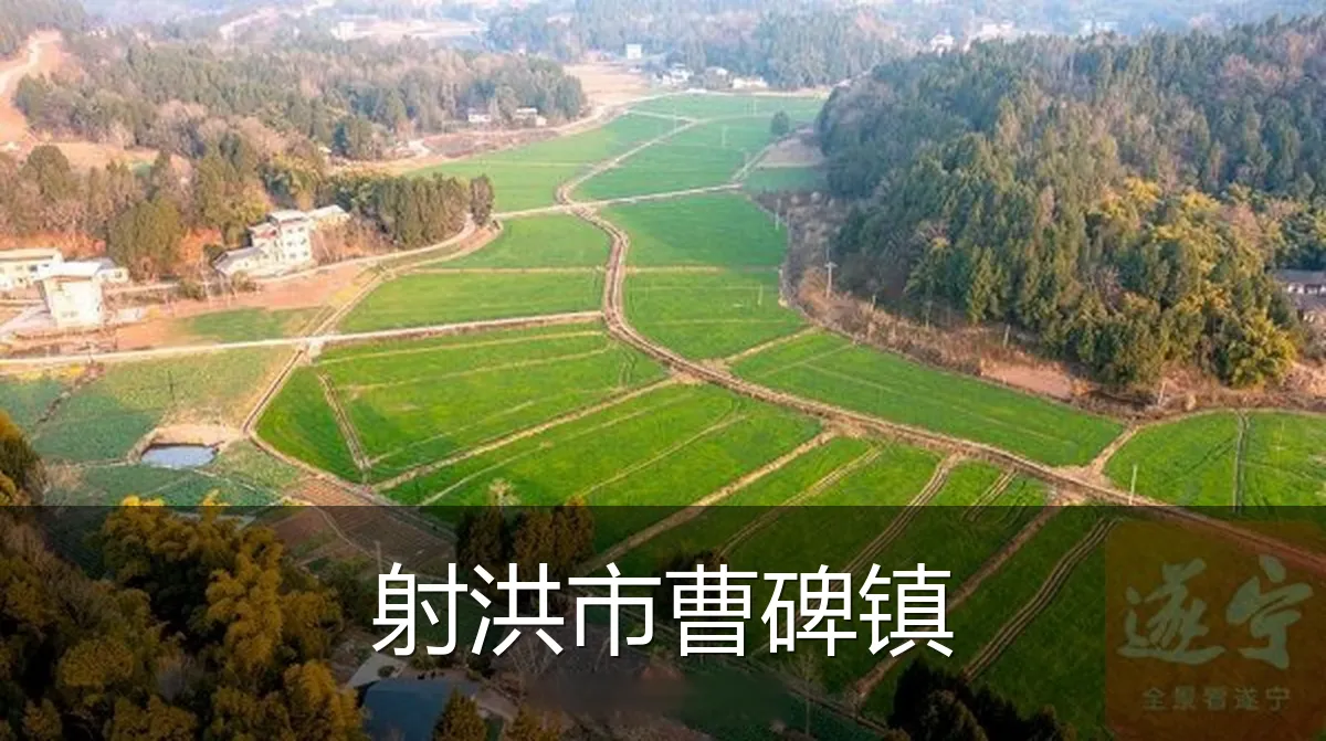 射洪市曹碑镇