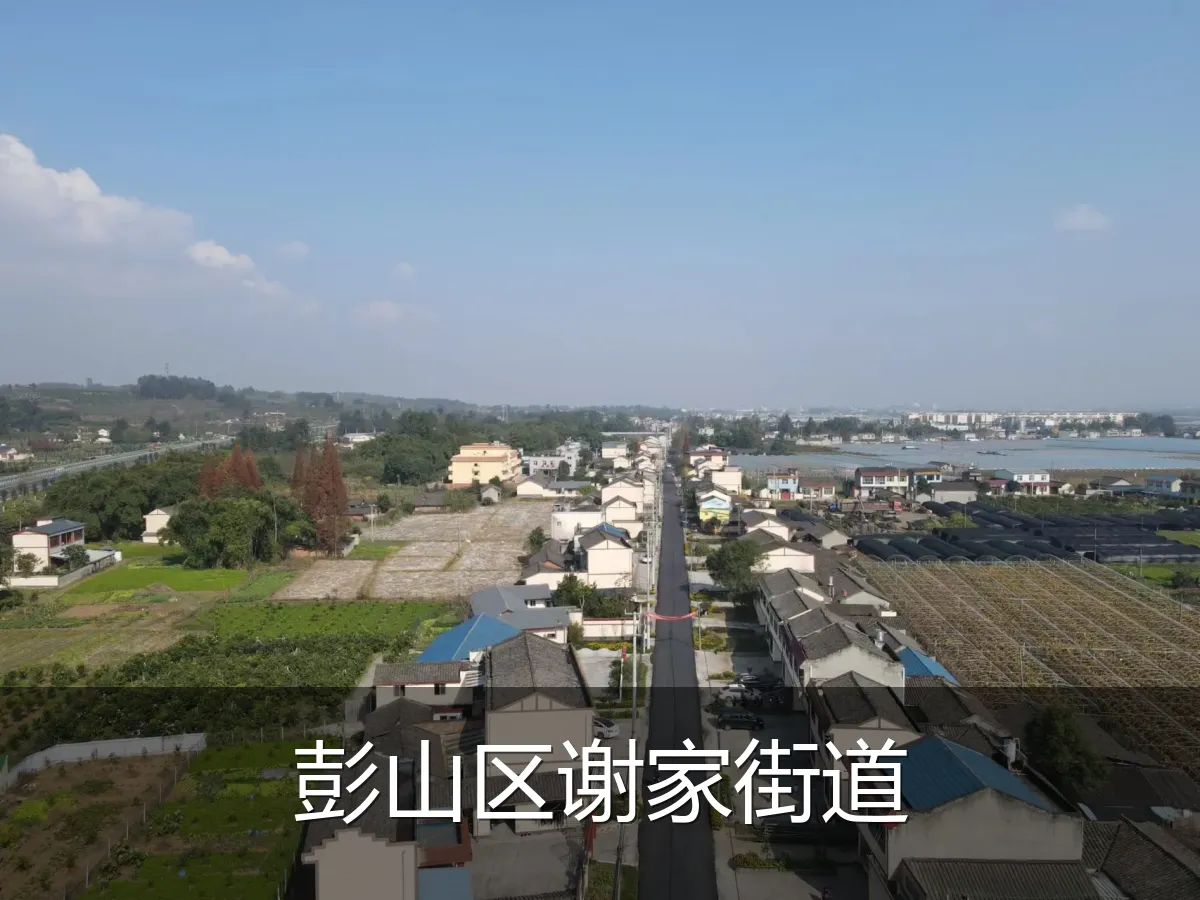 彭山区谢家街道