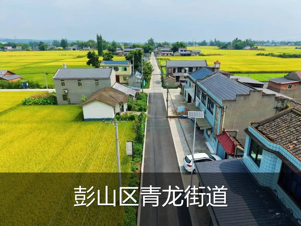 彭山区青龙街道