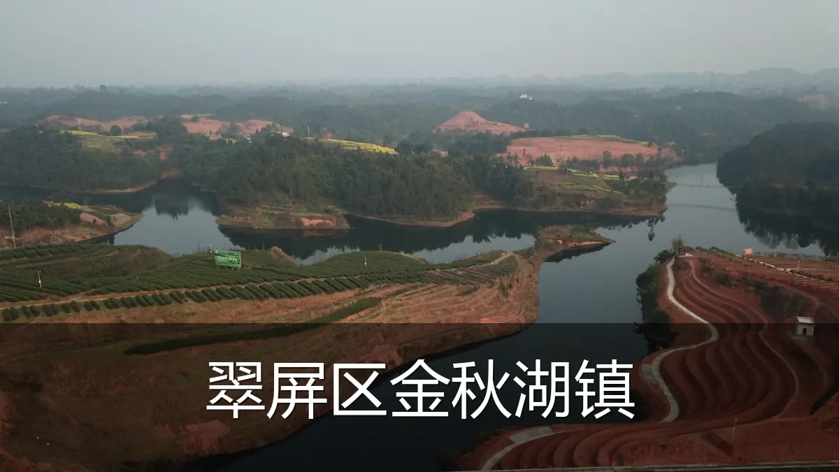 翠屏区金秋湖镇