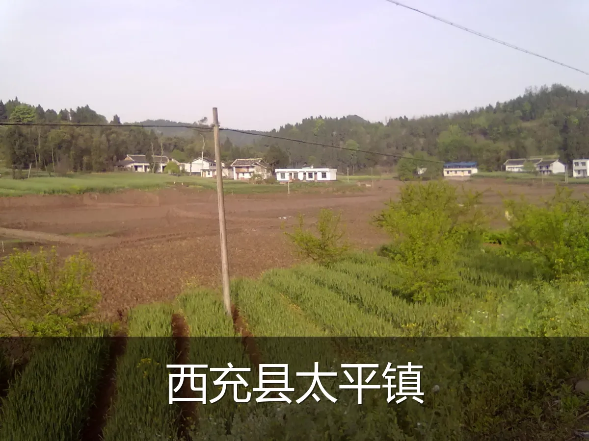 西充县太平镇