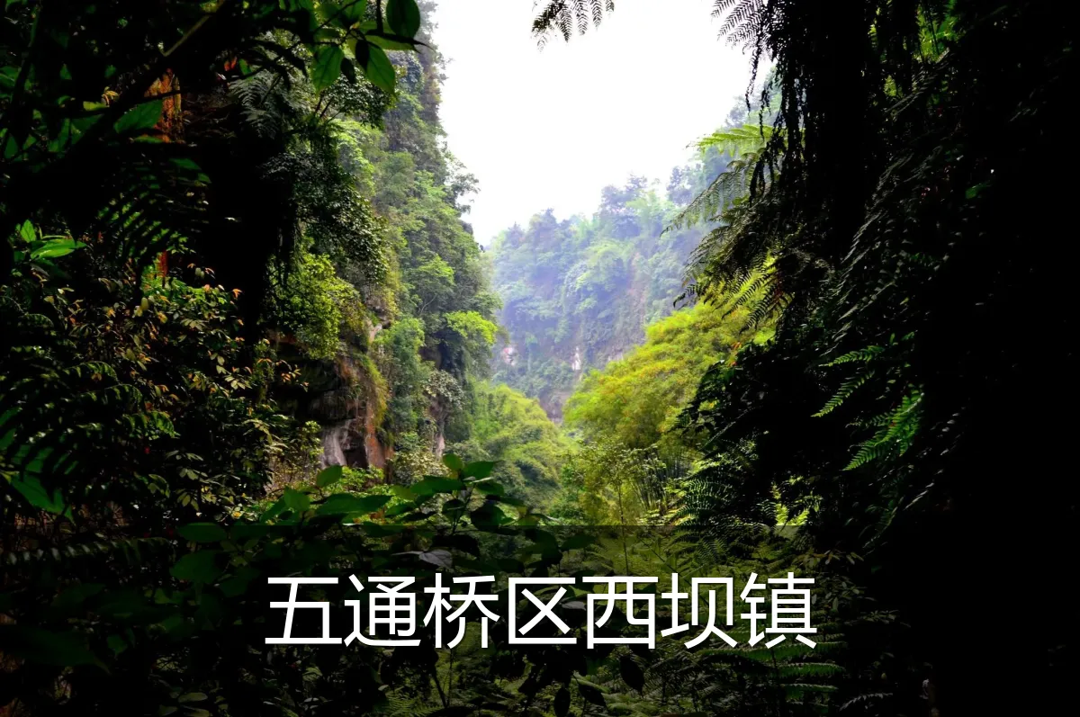 五通桥区西坝镇