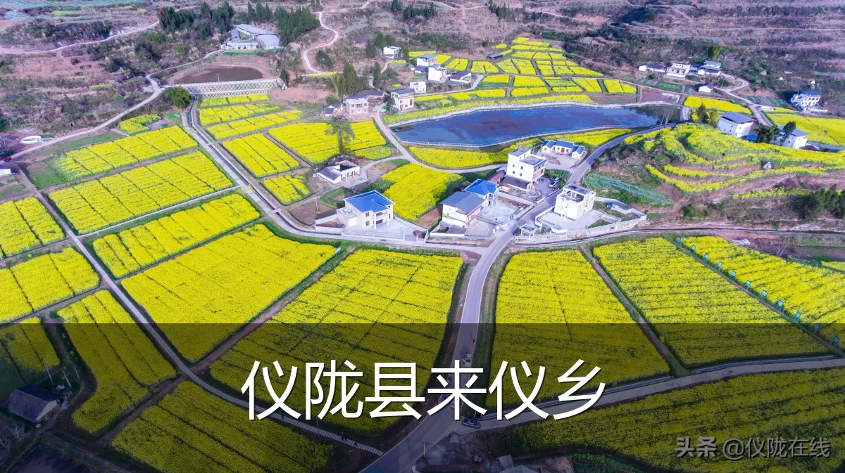 仪陇县来仪乡