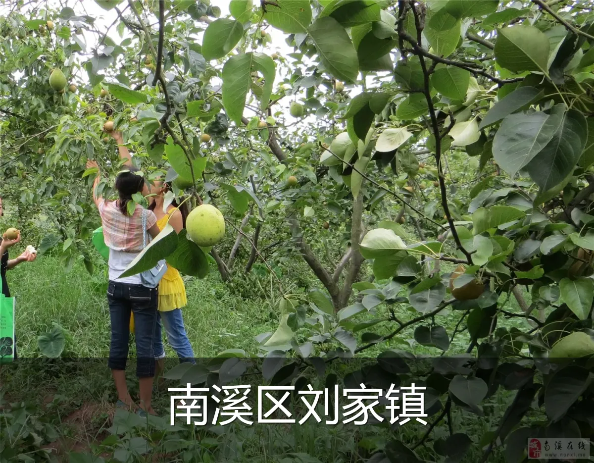 南溪区刘家镇