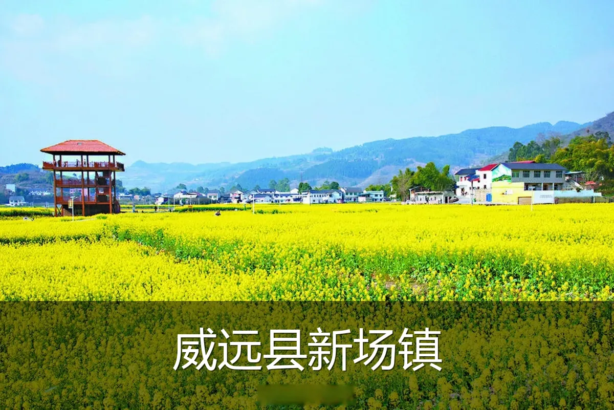 威远县新场镇