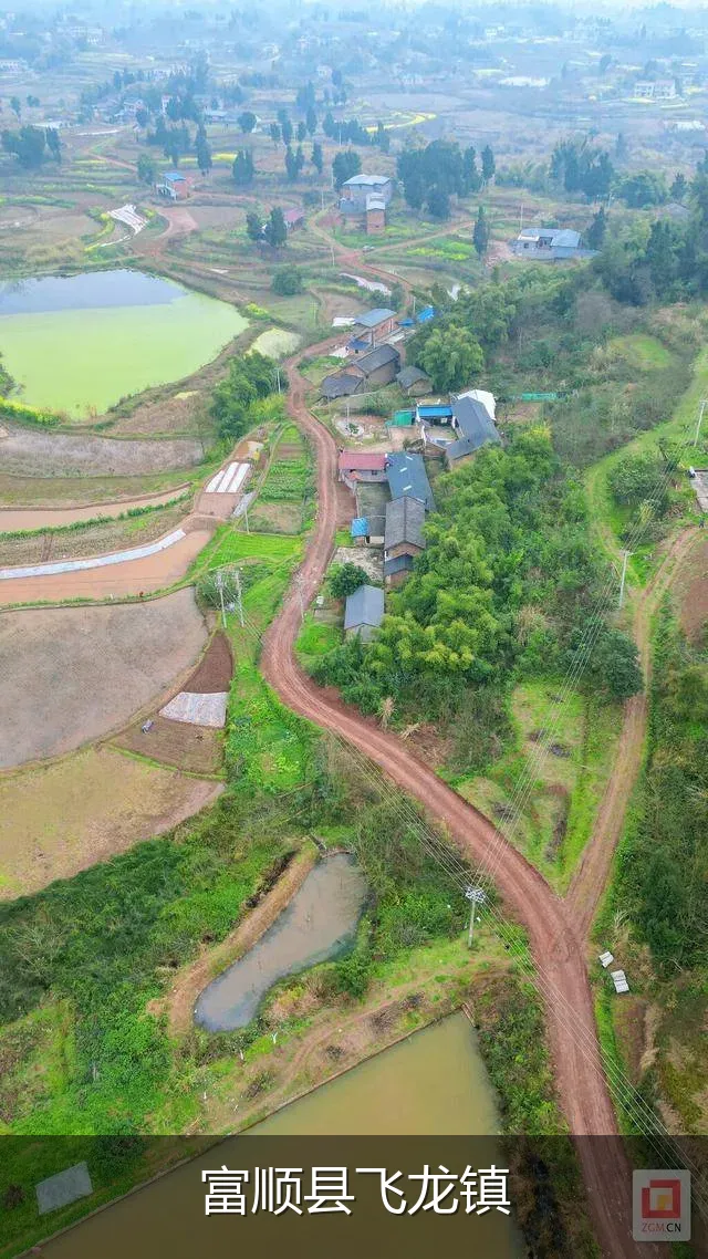 富顺县飞龙镇