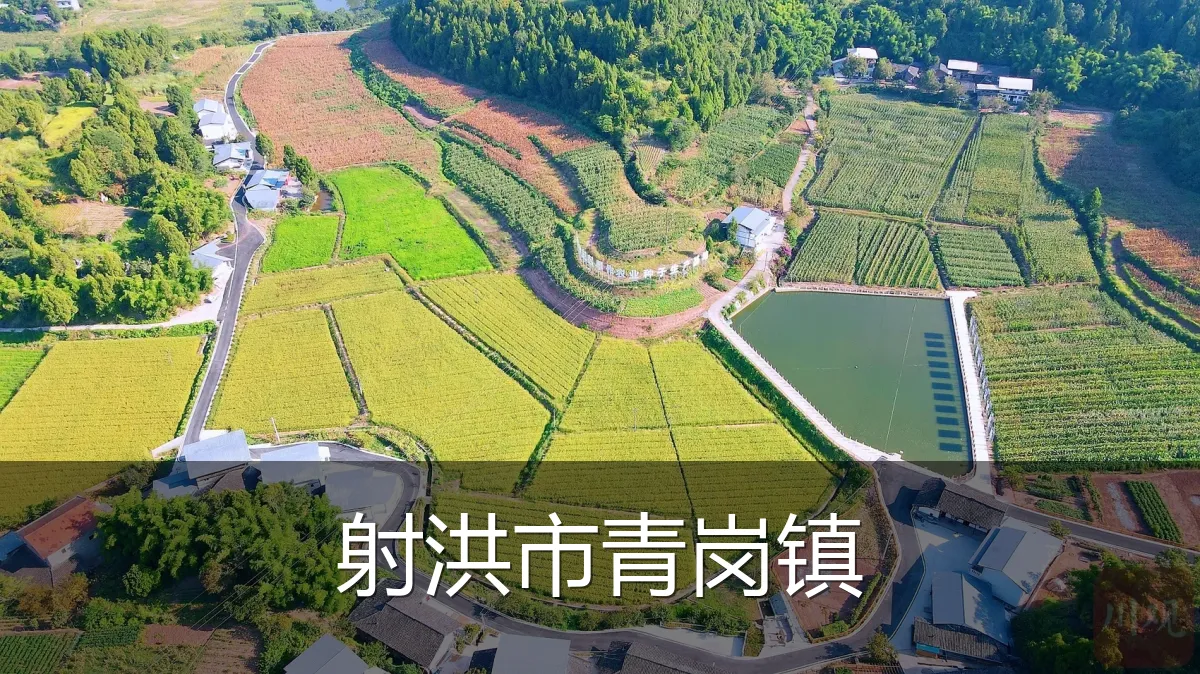 射洪市青岗镇
