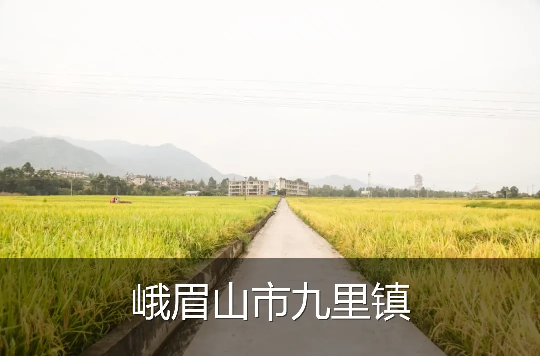 峨眉山市九里镇