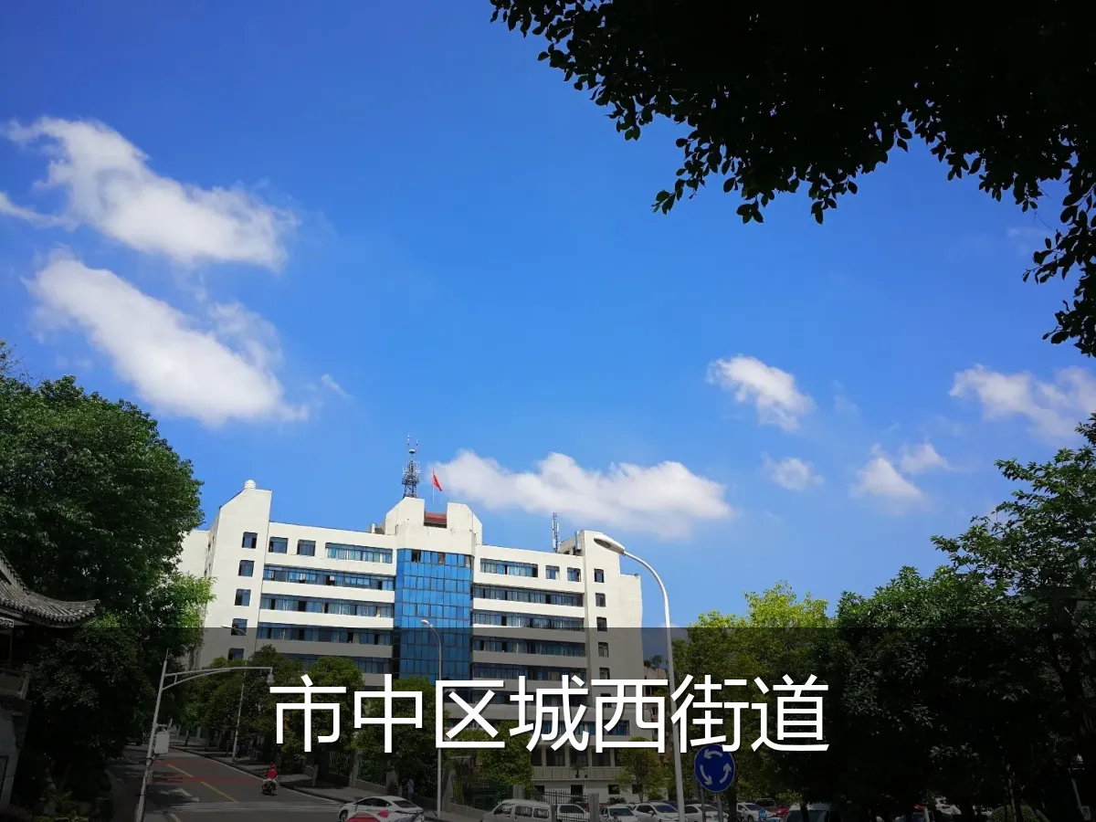 市中区城西街道