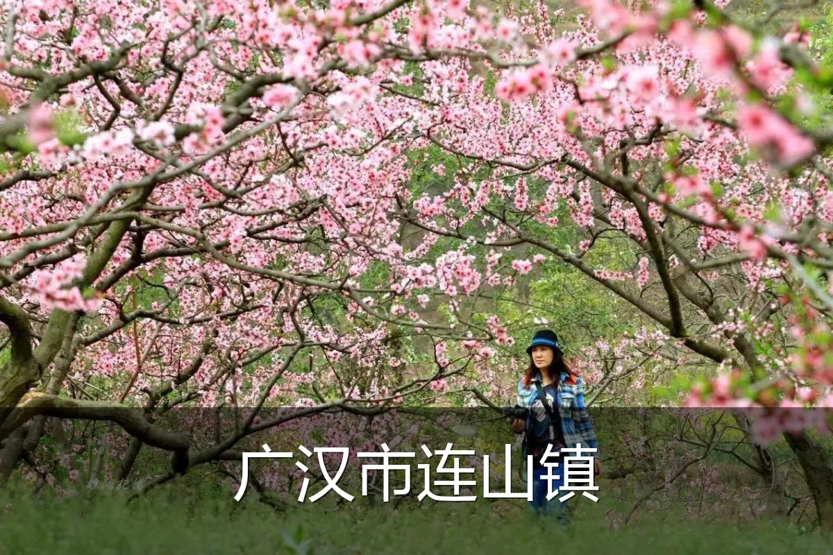 广汉市连山镇