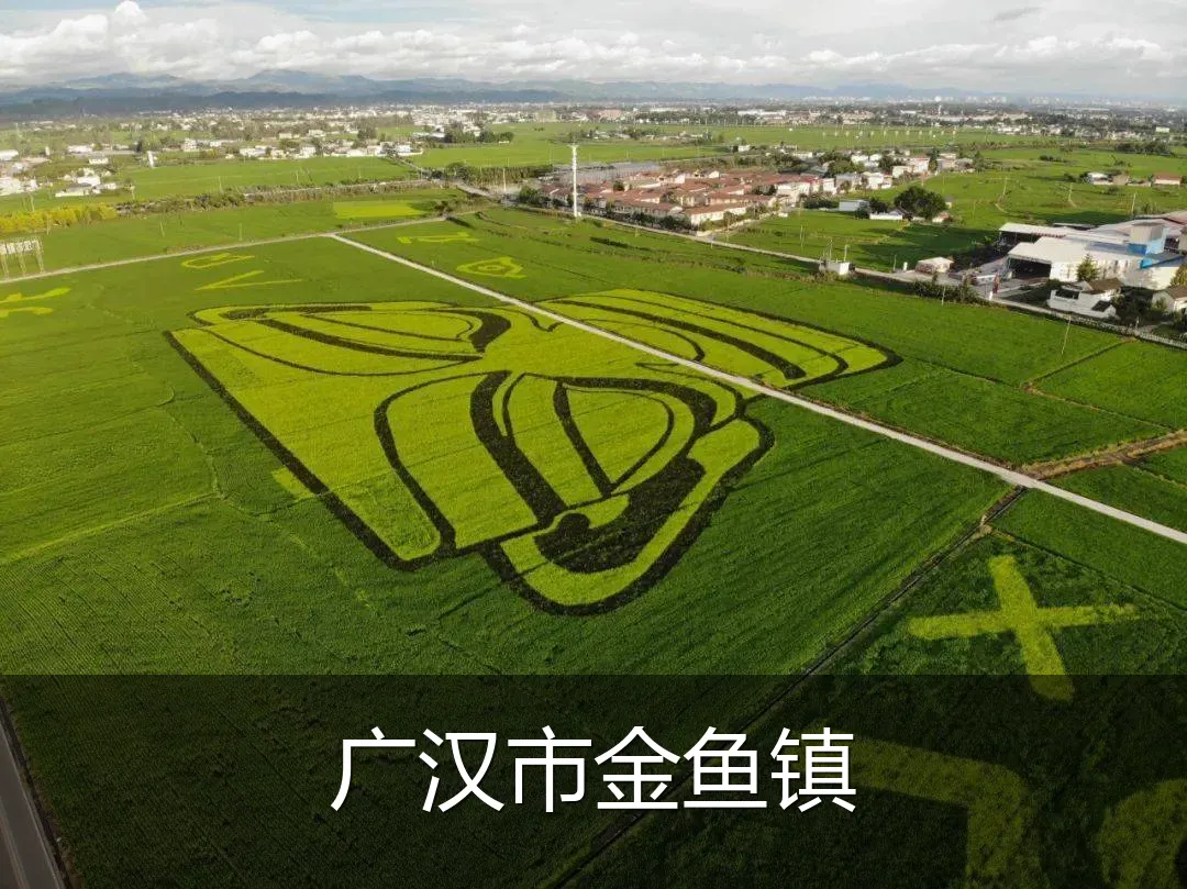 广汉市金鱼镇