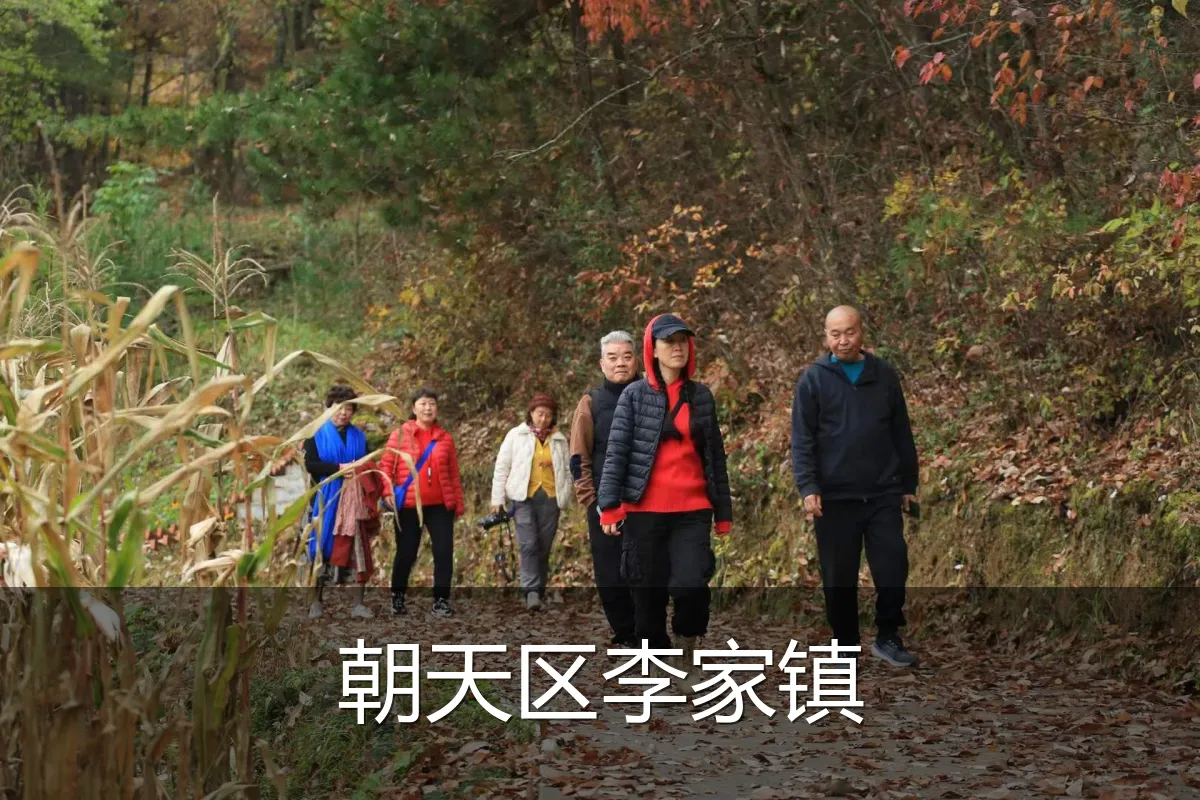 朝天区李家镇