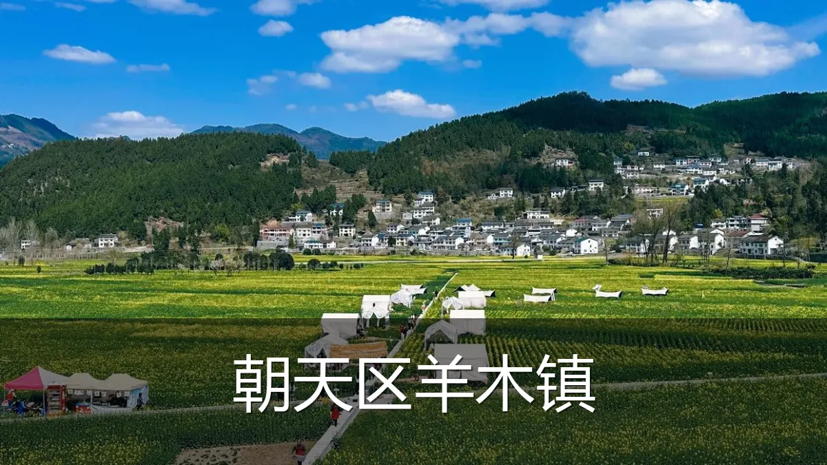 朝天区羊木镇