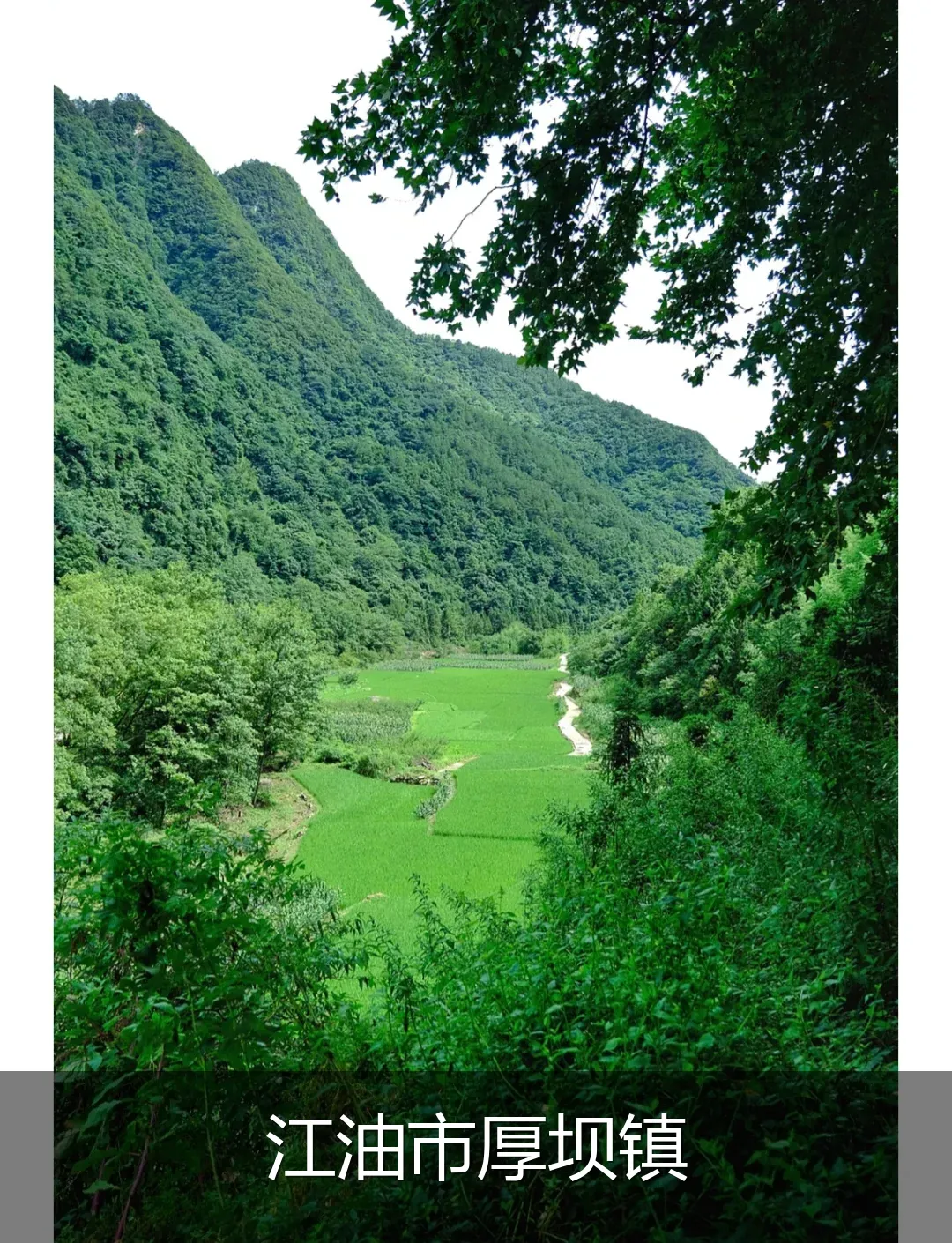 江油市厚坝镇