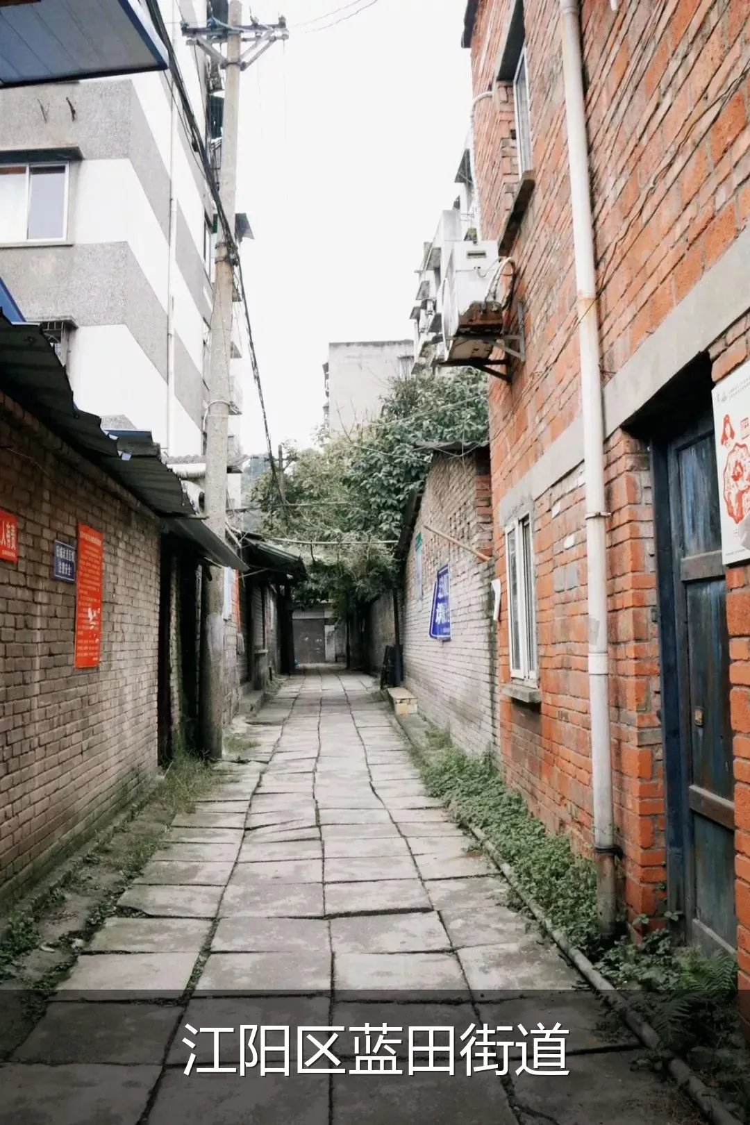 江阳区蓝田街道
