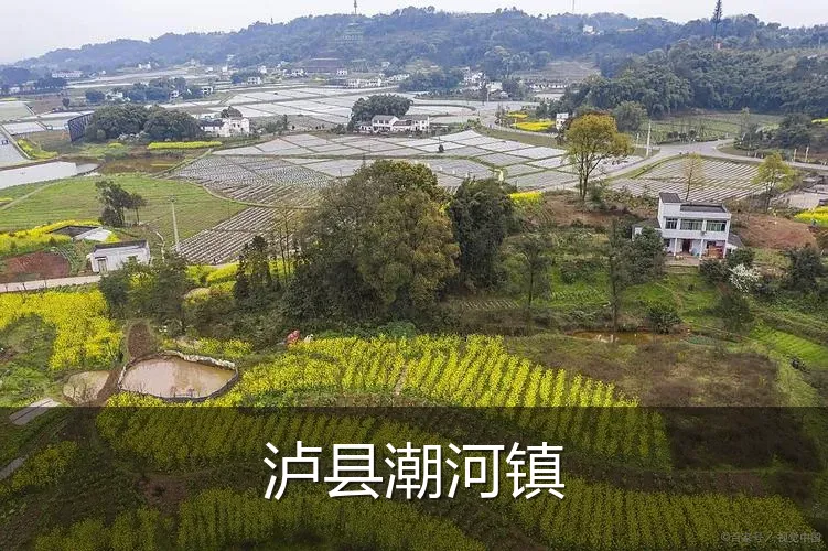 泸县潮河镇