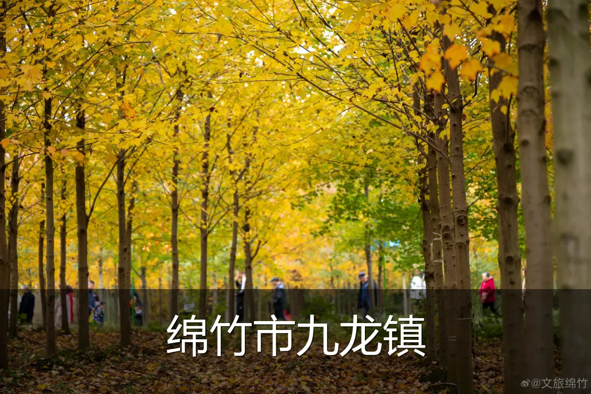 绵竹市九龙镇
