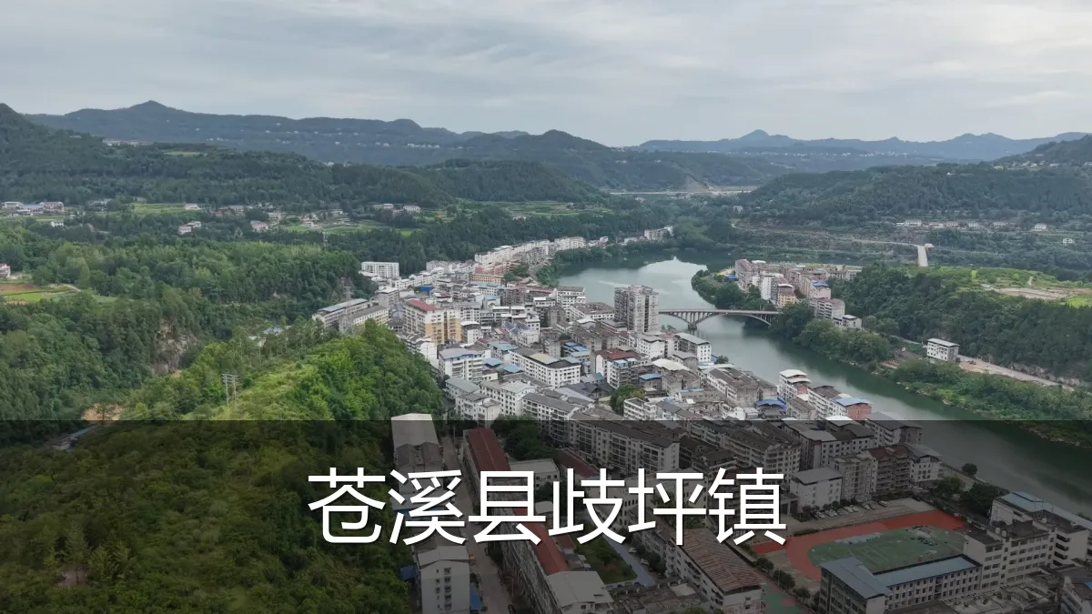 苍溪县歧坪镇