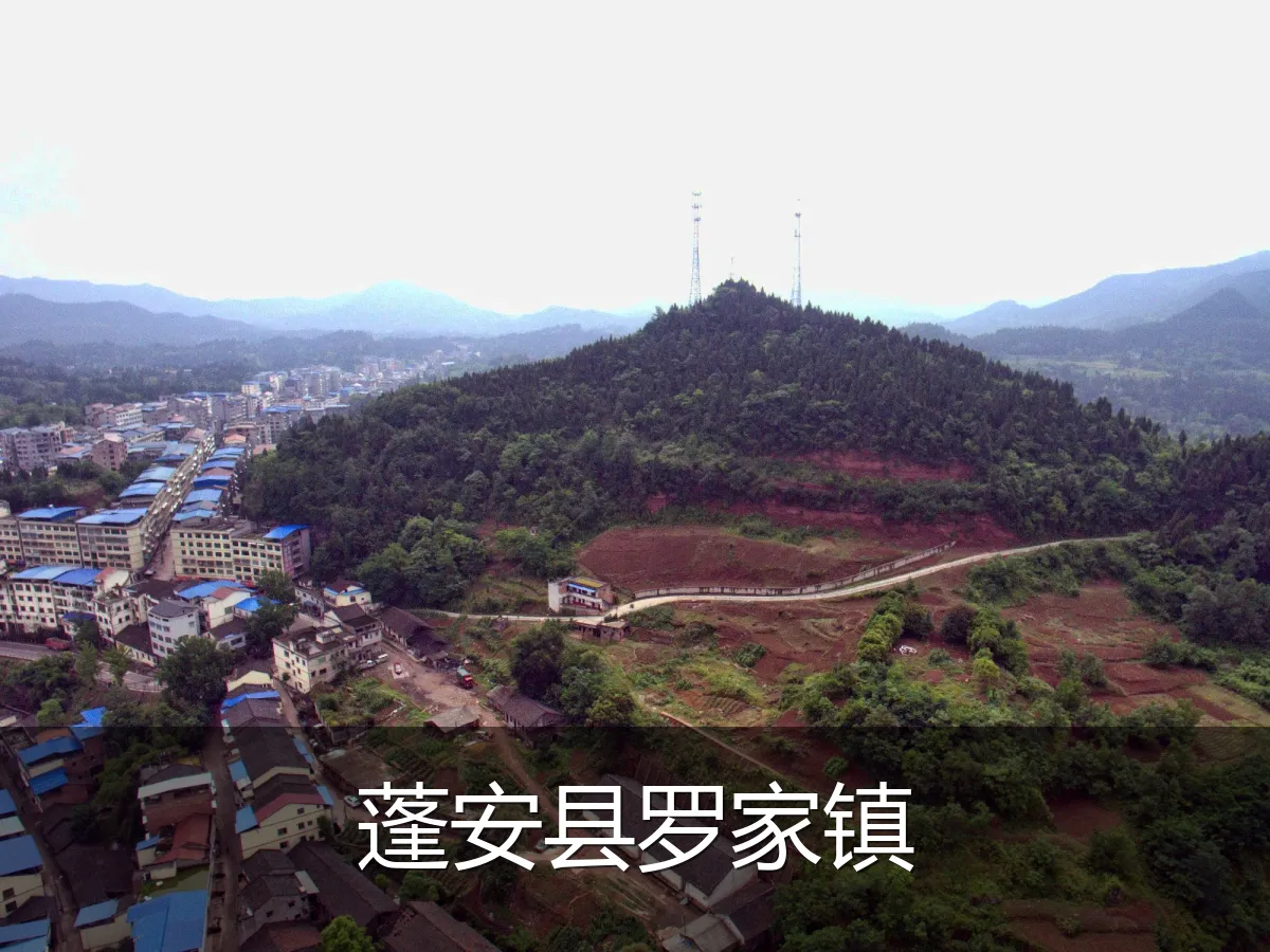 蓬安县罗家镇