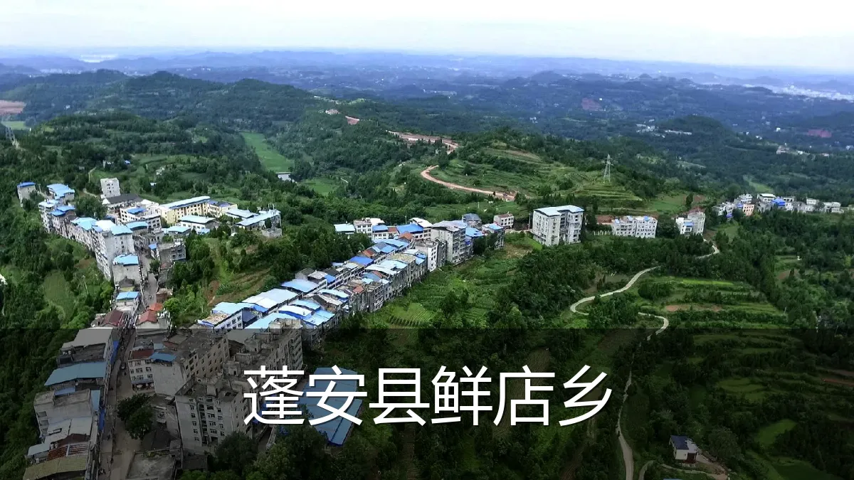 蓬安县鲜店乡