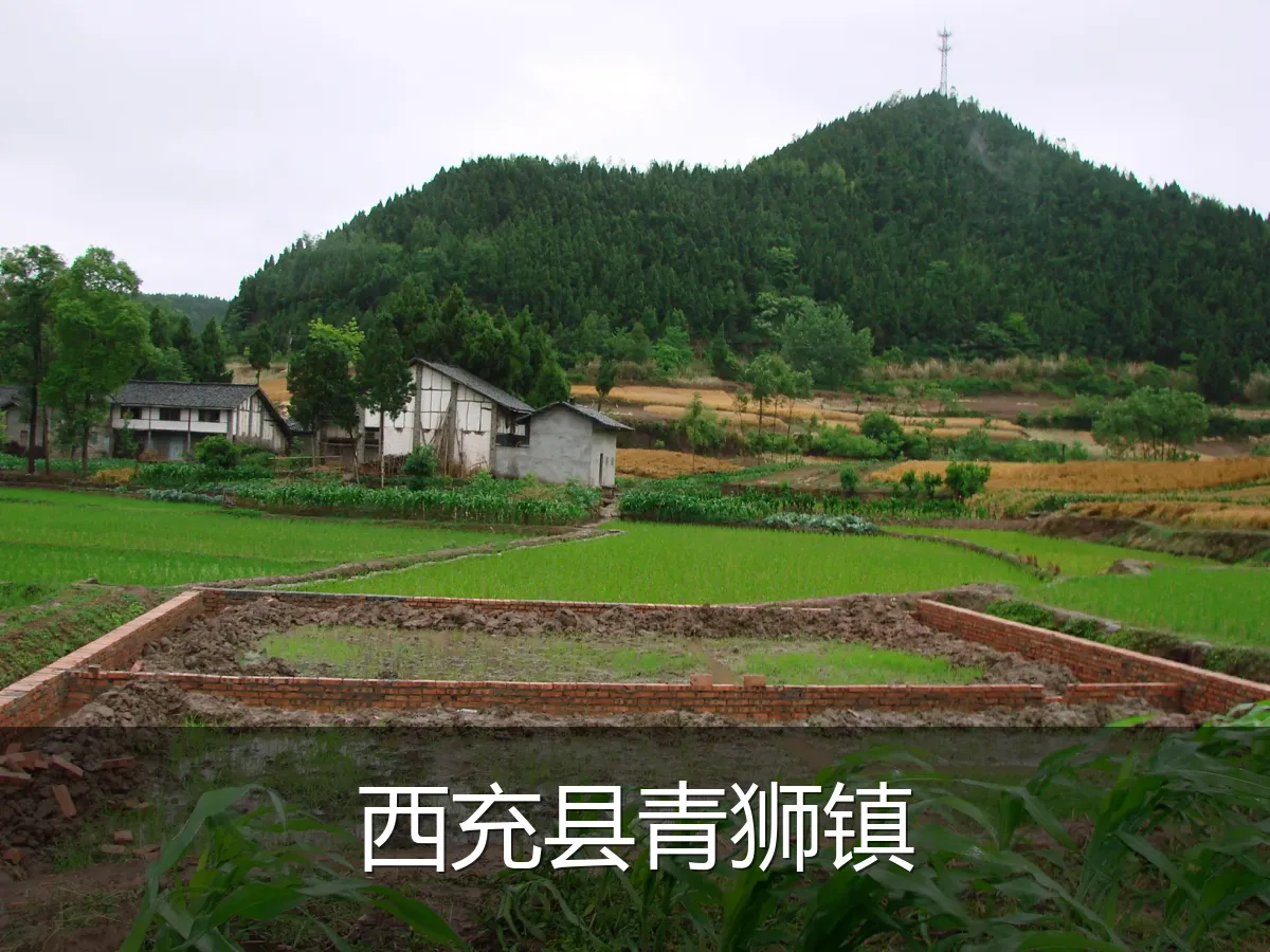 西充县青狮镇