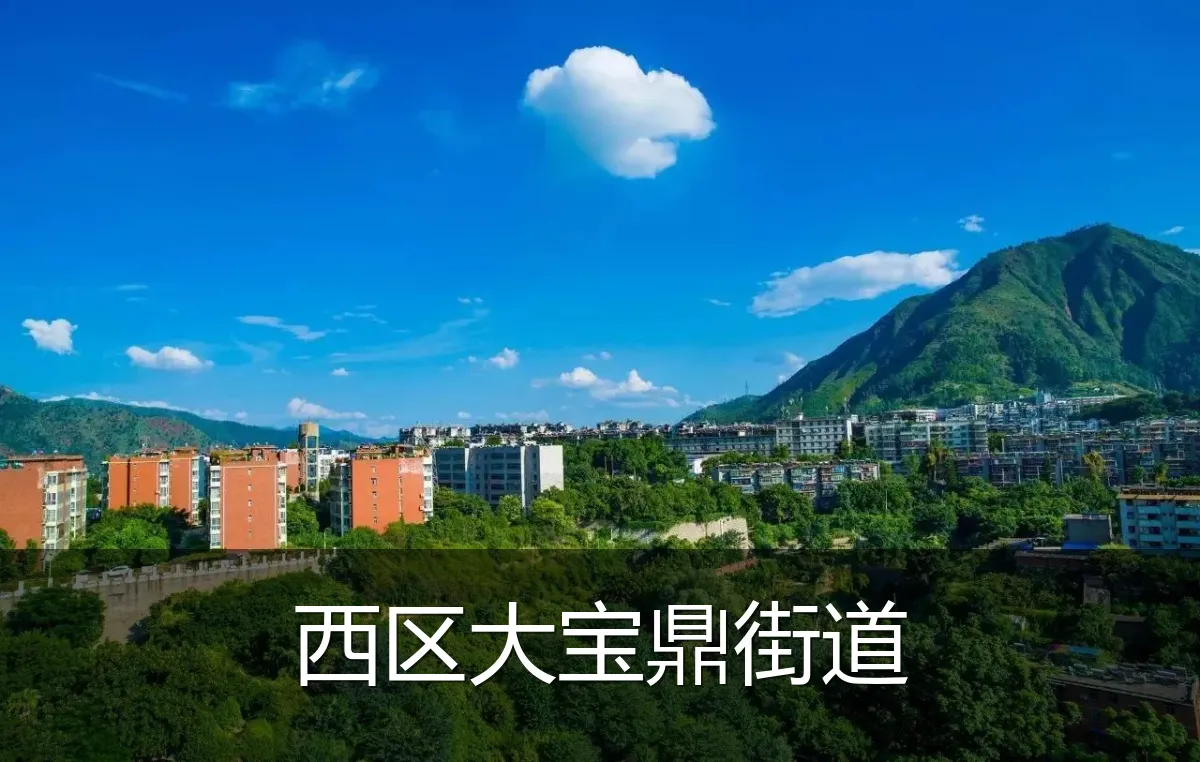 西区大宝鼎街道