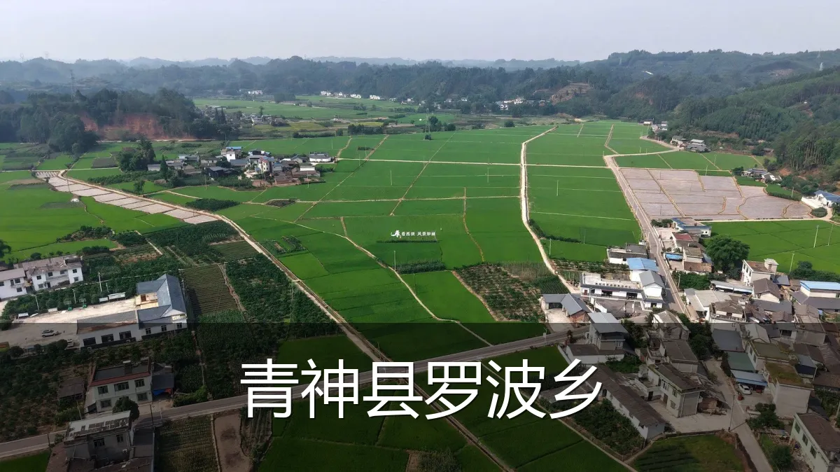 青神县罗波乡