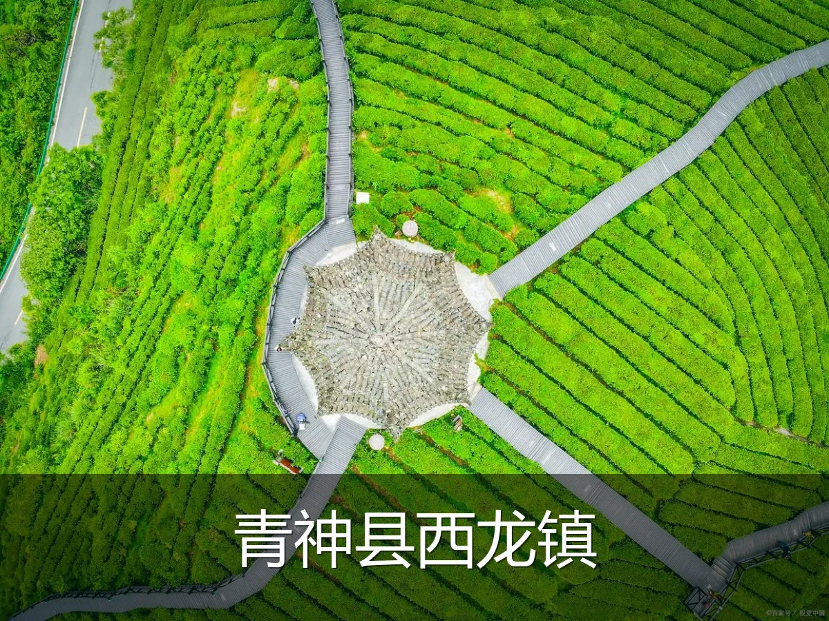 青神县西龙镇