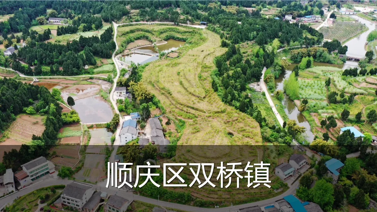 顺庆区双桥镇