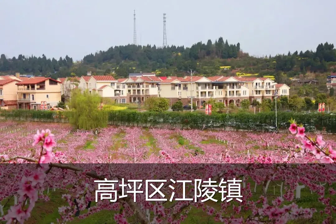 高坪区江陵镇
