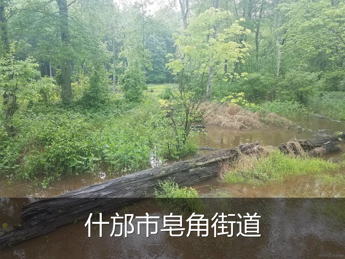 什邡市皂角街道