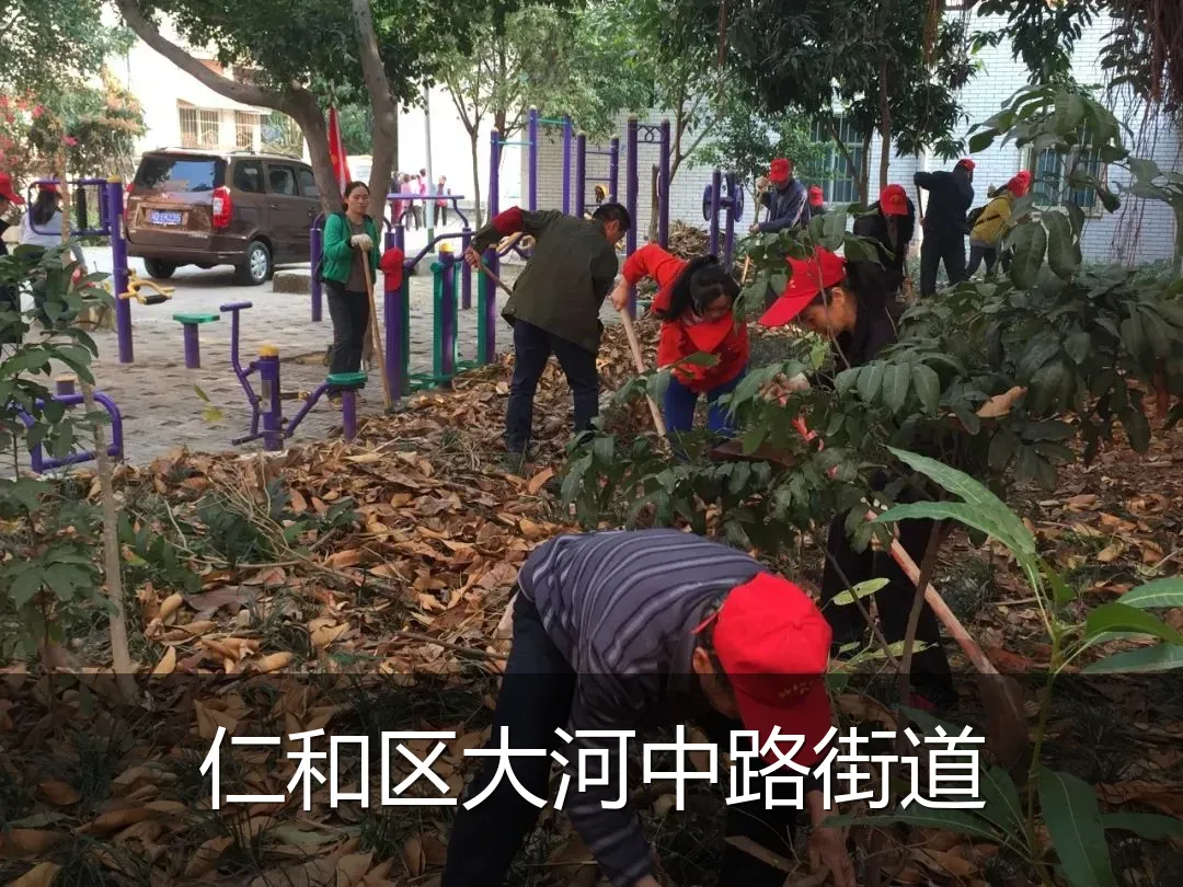 仁和区大河中路街道