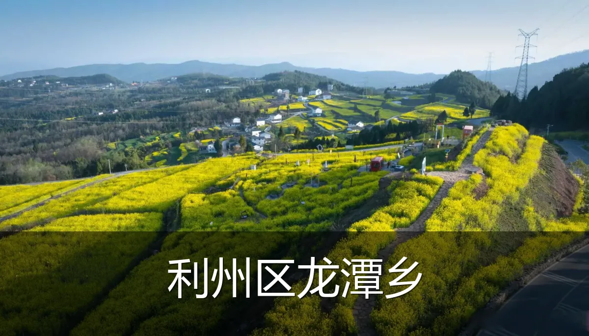 利州区龙潭乡