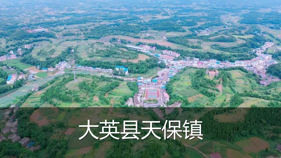 大英县天保镇