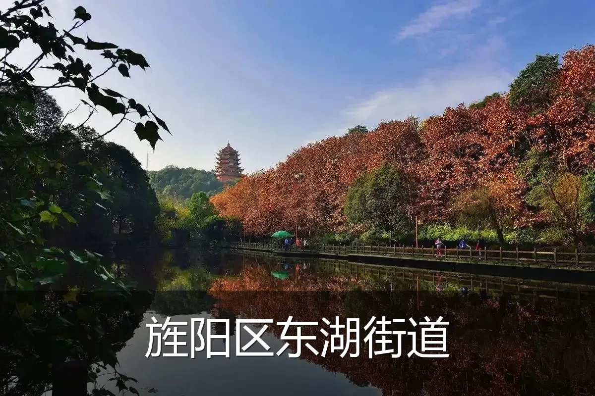 旌阳区东湖街道