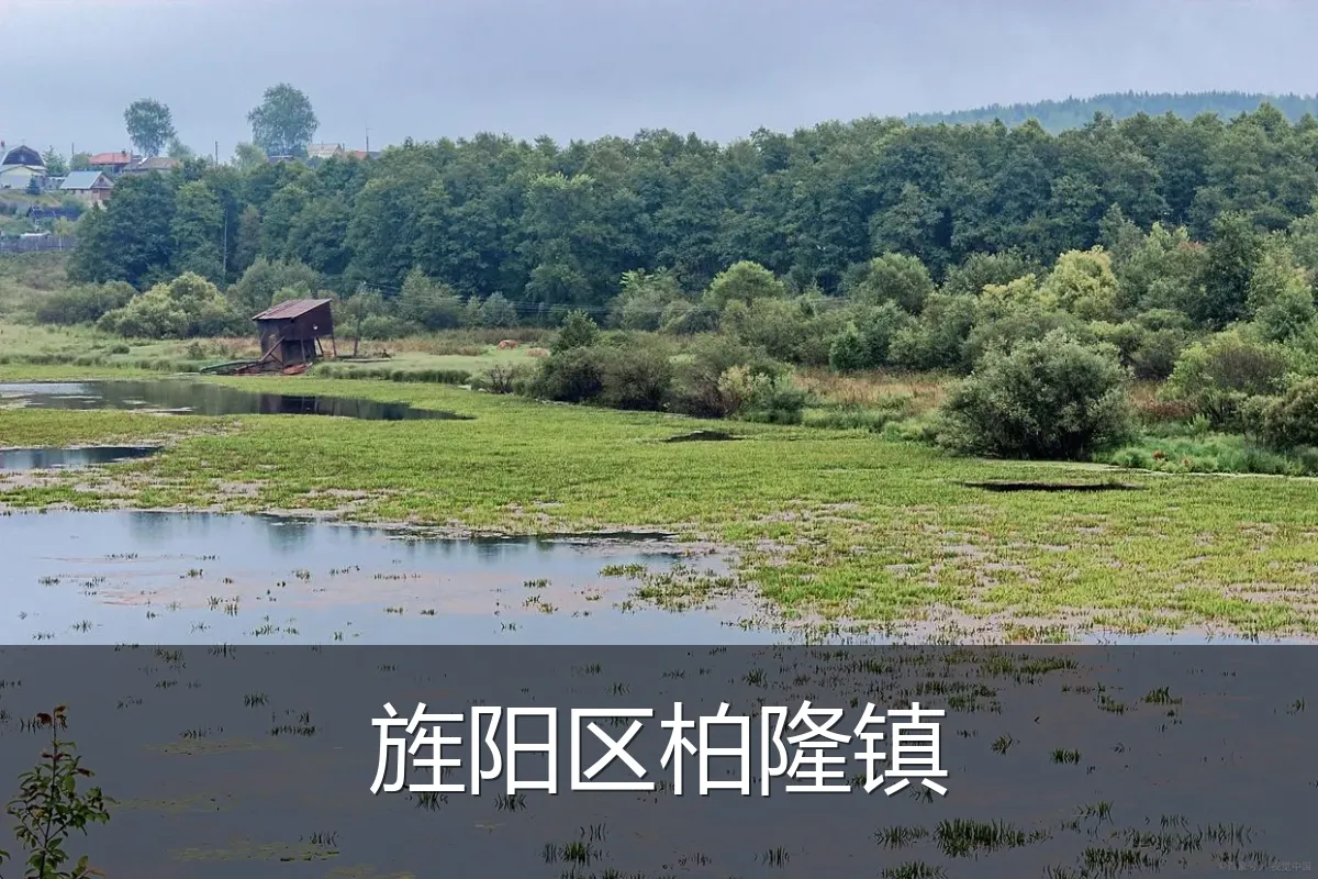 旌阳区柏隆镇