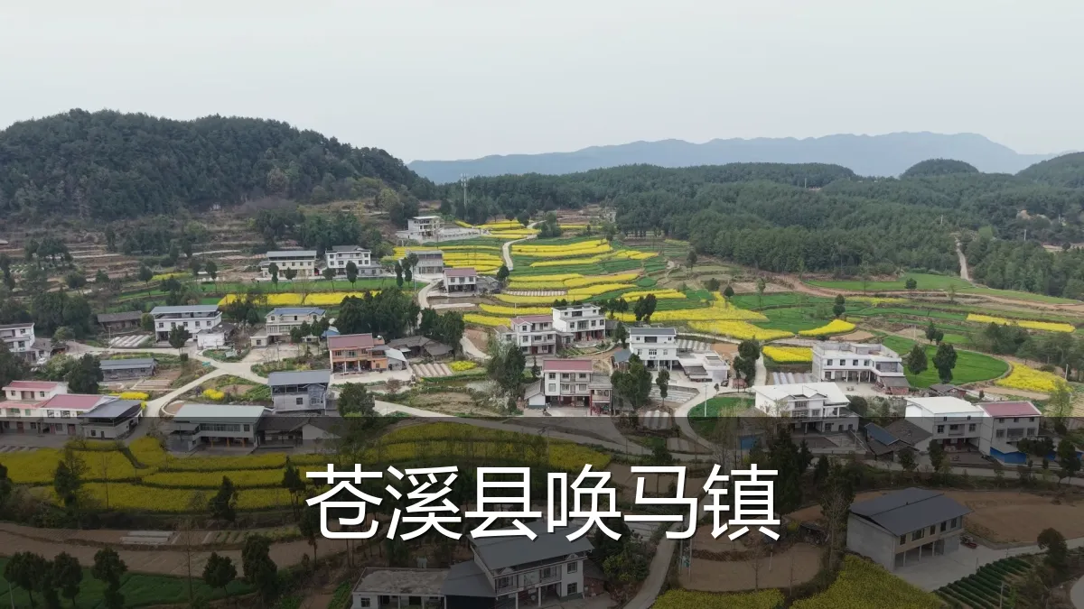 苍溪县唤马镇