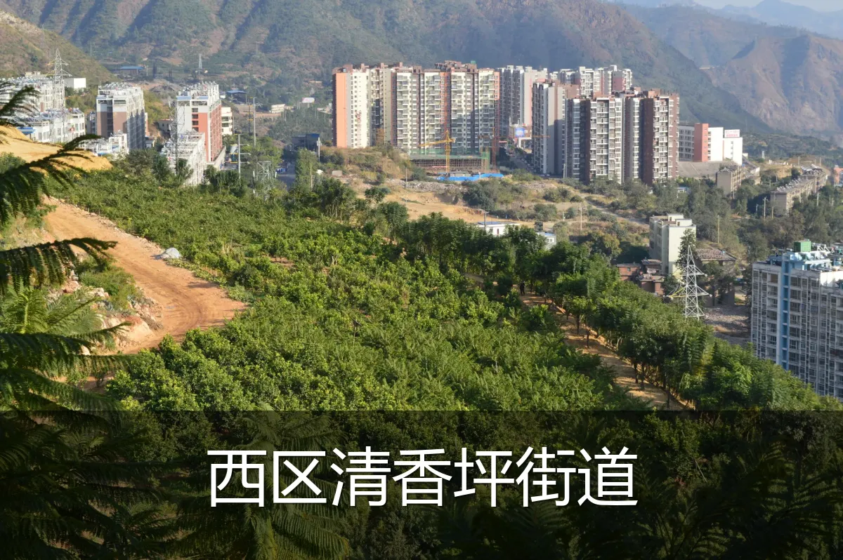 西区清香坪街道