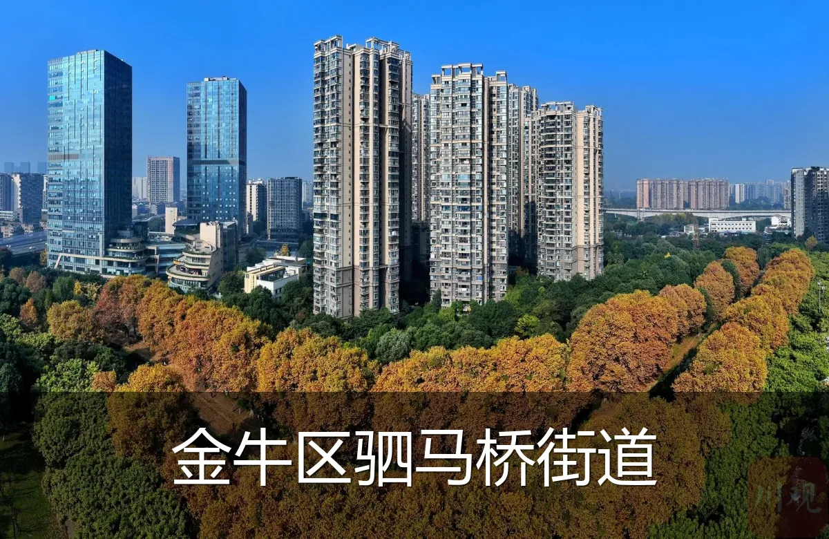 金牛区驷马桥街道