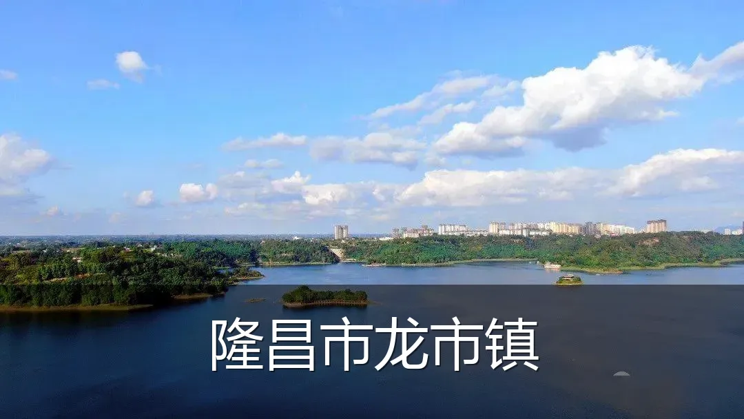 隆昌市龙市镇