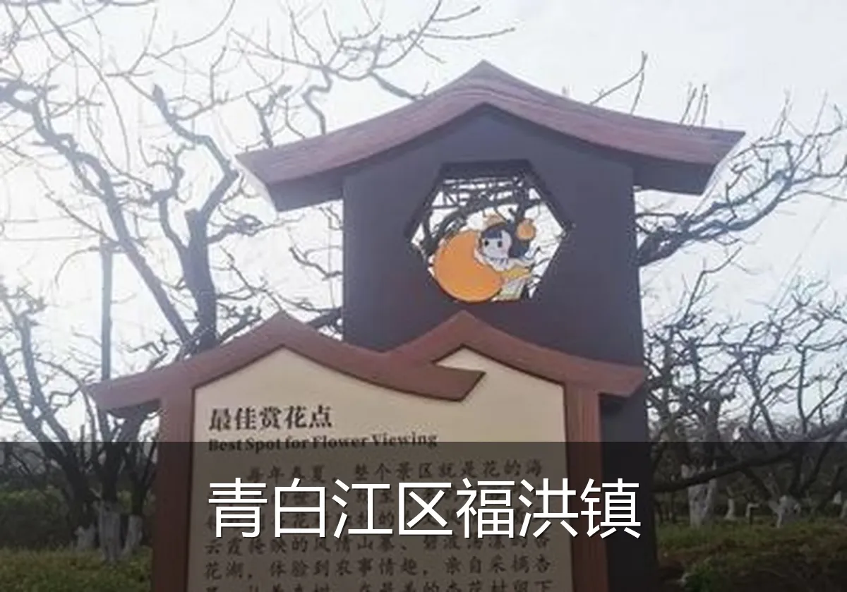青白江区福洪镇