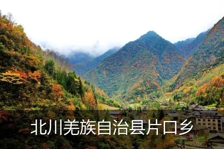 北川羌族自治县片口乡