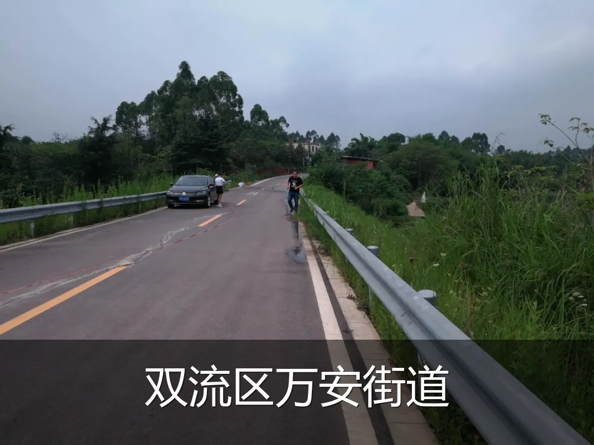 双流区万安街道