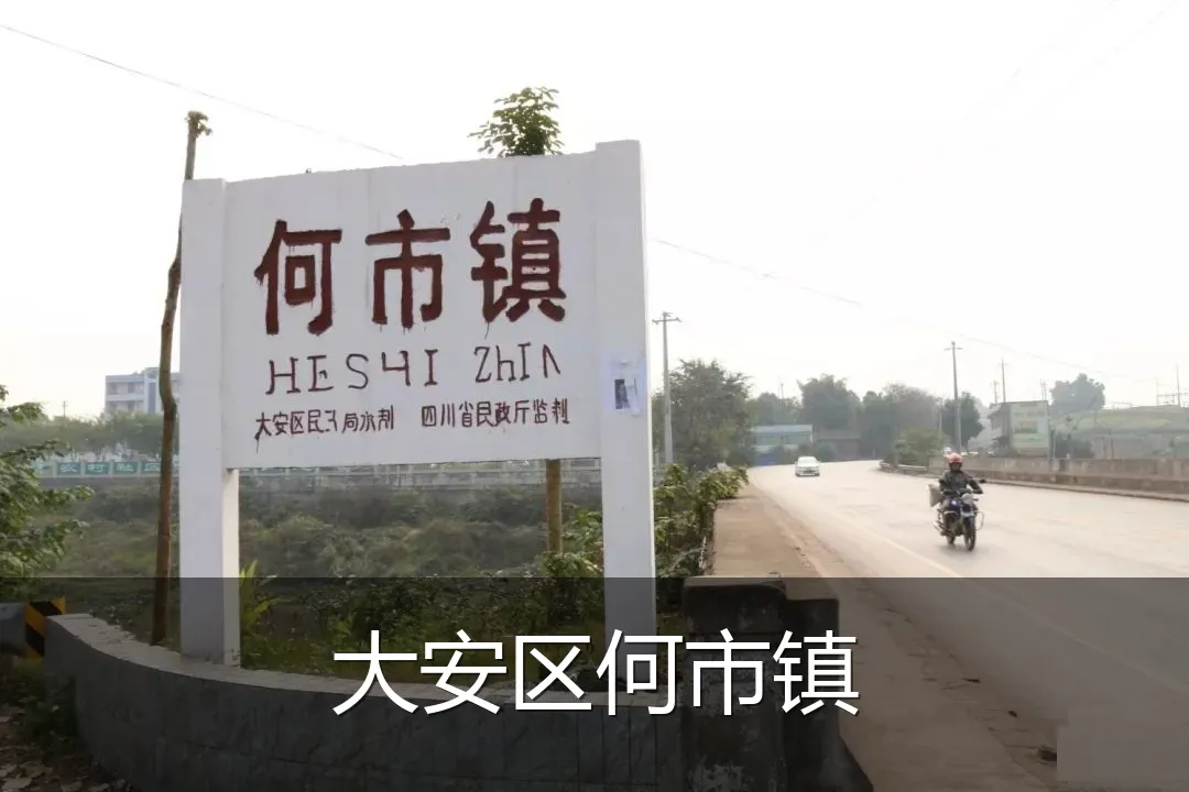 大安区何市镇
