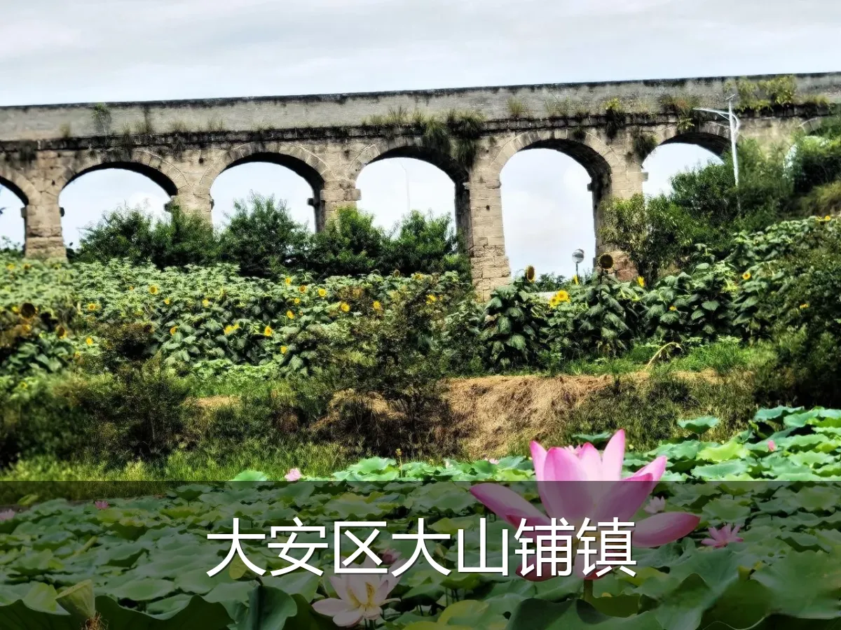 大安区大山铺镇