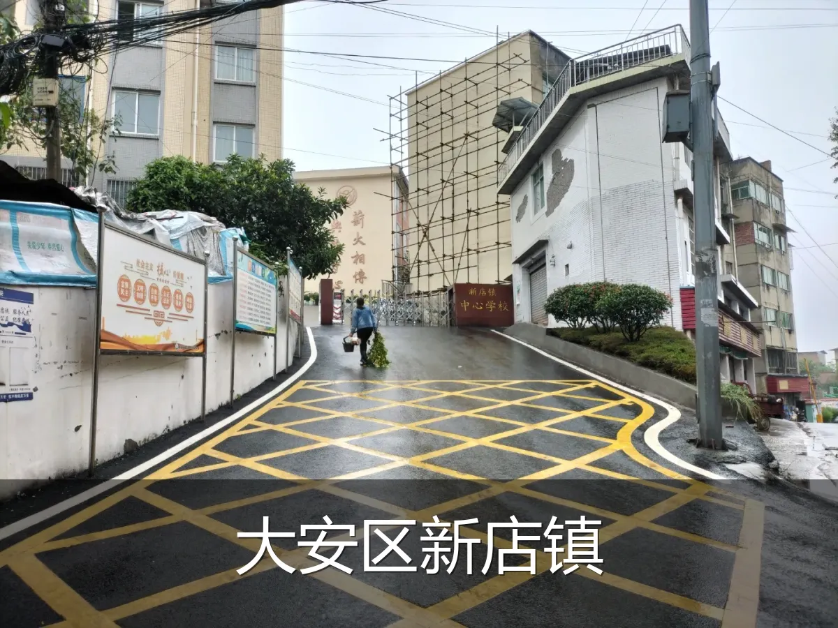 大安区新店镇