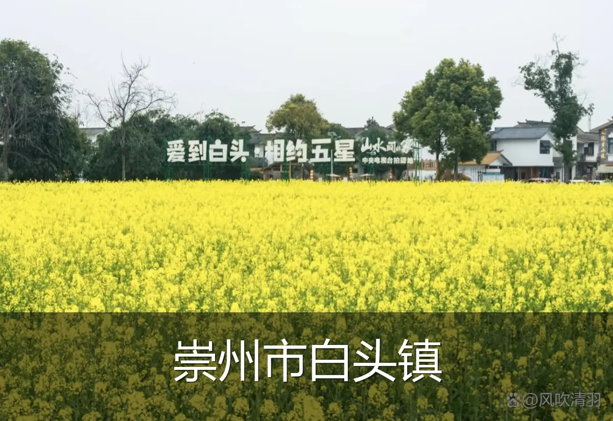 崇州市白头镇